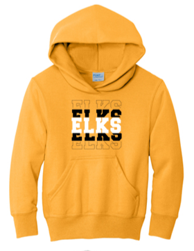 Youth Hoodies - WTS23