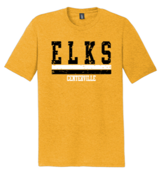 Adult Tri Blend Tees -DRS23