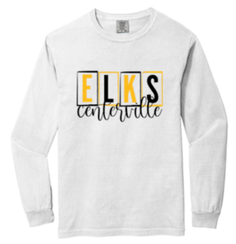 Comfort Color Adult Long sleeve Tee- WTS23