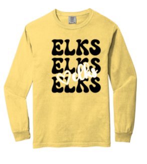 Comfort Color Adult Long sleeve Tee- TWR23