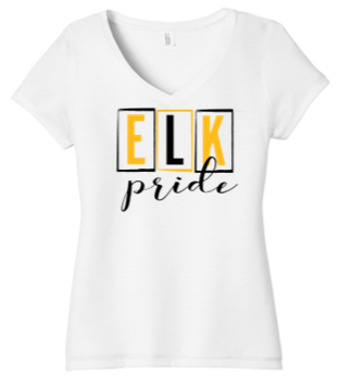 Ladies cut V-neck tri blend tee- TWR23