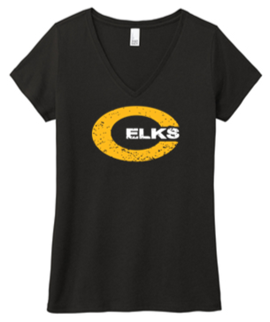 Ladies cut V-neck tri blend tee- TWR23