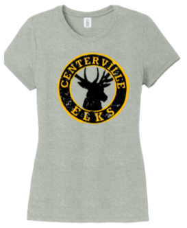 Ladies Crew neck tee-WTS24