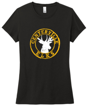 Ladies Crew neck tee-WTS24