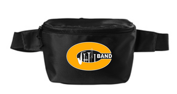 Hip/cross body bag- CJB23