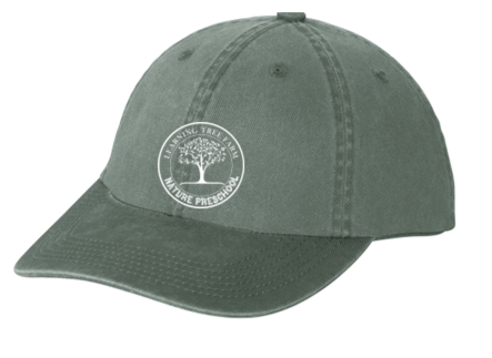 Garment washed cap- LTPS23